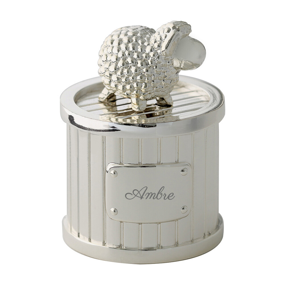 Photo de Boite à dents mouton