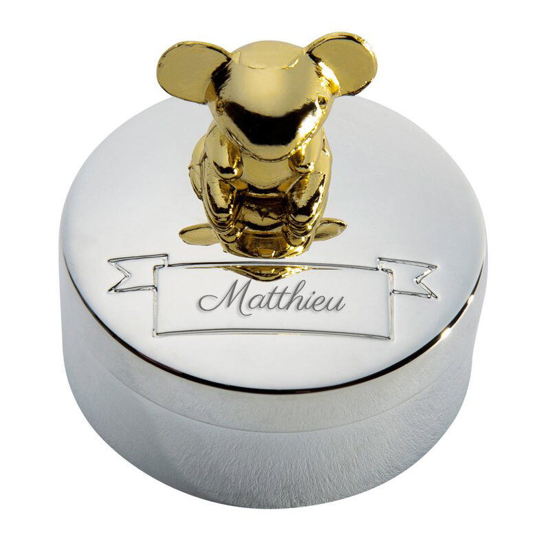 Photo de Boite à dents de lait souris assise